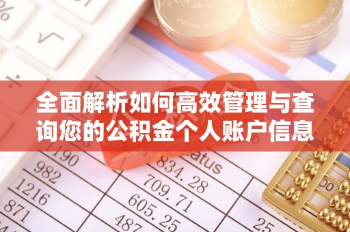 福田全面解析如何高效管理与查询您的公积金个人账户信息