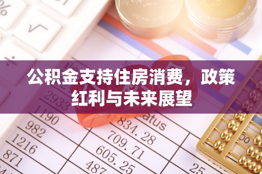 福田公积金支持住房消费，政策红利与未来展望